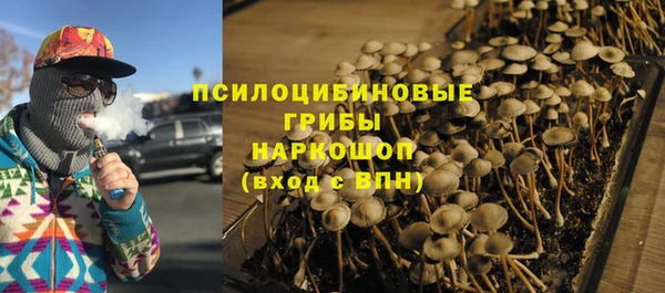 альфа пвп Армянск