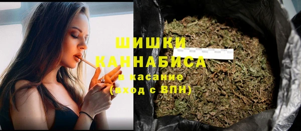 хмурый Арсеньев