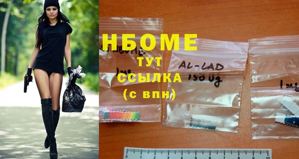 хмурый Арсеньев
