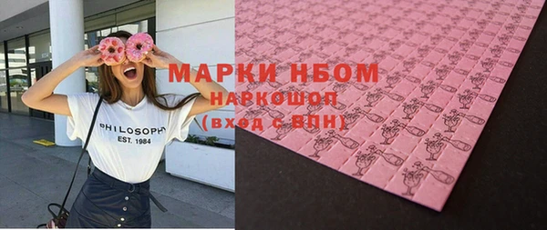 хмурый Арсеньев