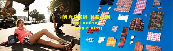 хмурый Арсеньев