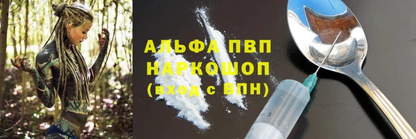 хмурый Арсеньев