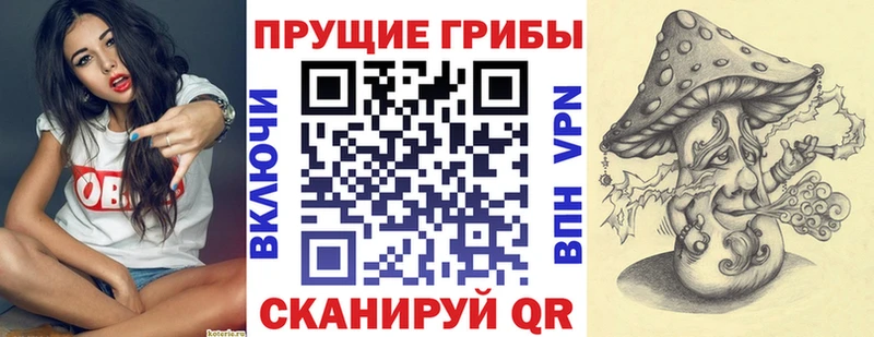 Купить где  Калуга  Псилоцибиновые грибы Psilocybe 