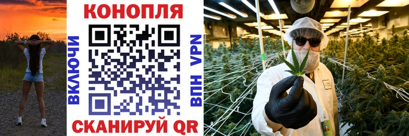 Купить закладки  Калуга  Конопля индика 